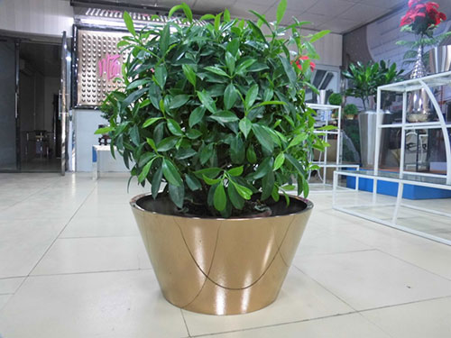 廣東汕頭不銹鋼花盆哪家做的好？